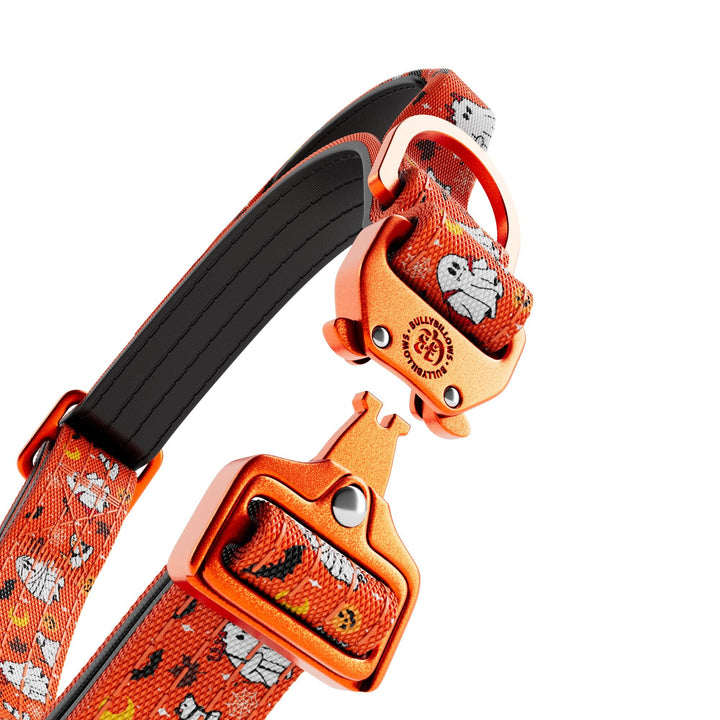 Lightweight Signature Clip