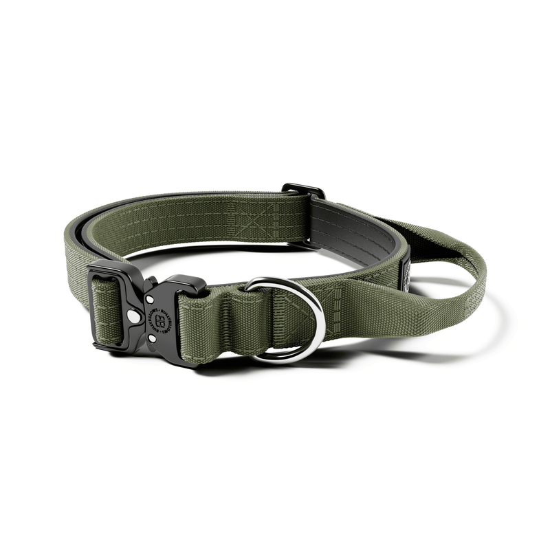 2.5cm Combat® Collar | With Handle & Rated Clip - Khaki