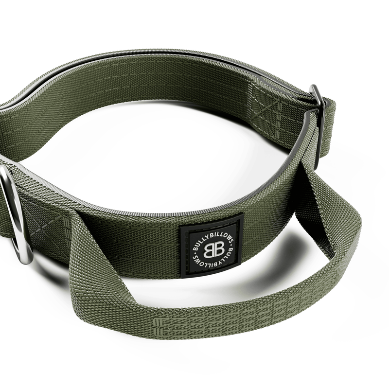 2.5cm Combat® Collar | With Handle & Rated Clip - Khaki