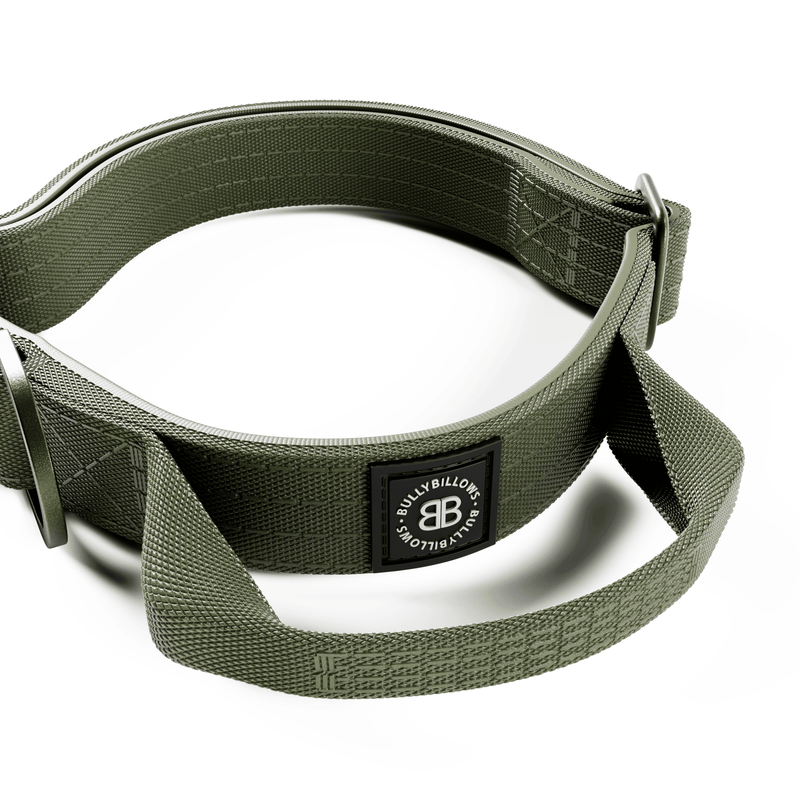 2.5cm Lighter Combat® Collar | Handle & Rated Clip - Khaki x Khaki