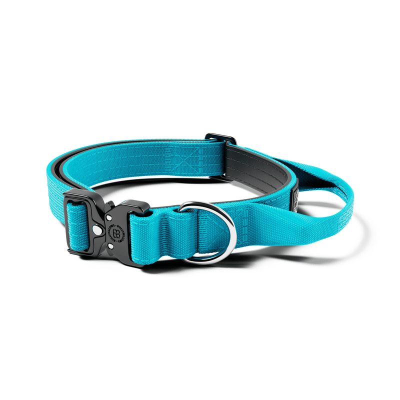 2.5cm Combat® Collar | With Handle & Rated Clip - Light Blue