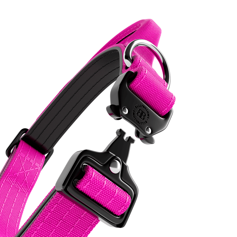 2.5cm Combat® Collar | With Handle & Rated Clip - Magenta