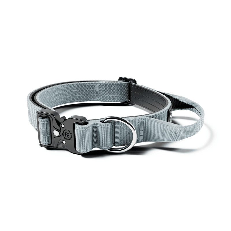 2.5cm Combat® Collar | With Handle & Rated Clip - Metal Grey
