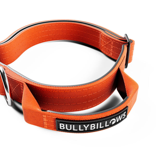 2.5cm Combat® Collar | With Handle & Rated Clip - Orange