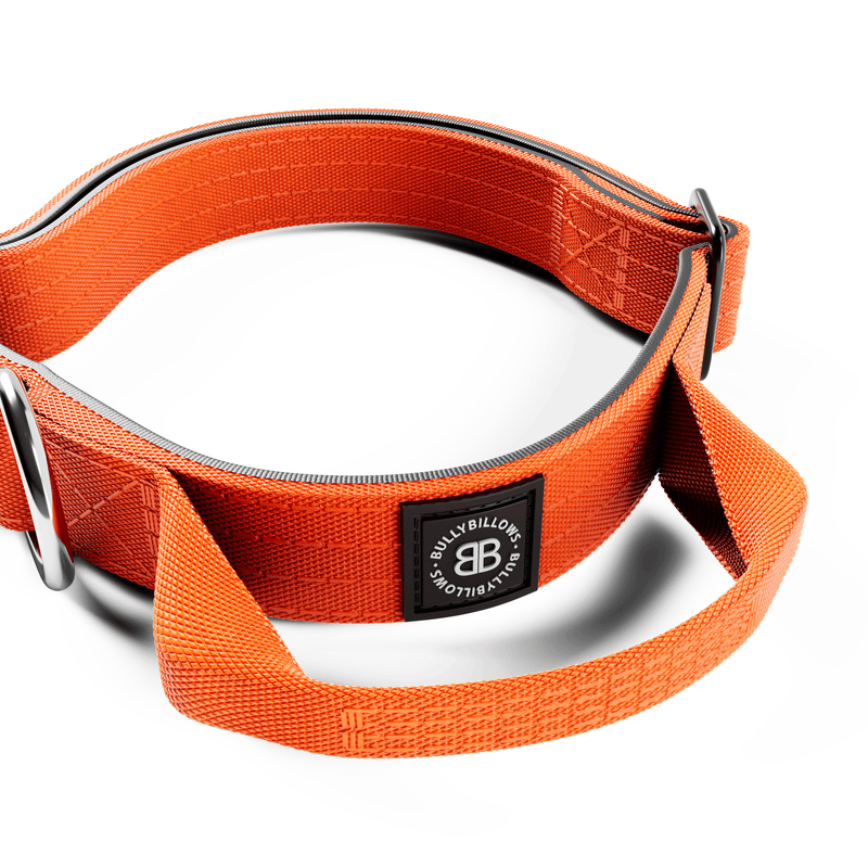 2.5cm Combat® Collar | With Handle & Rated Clip - Orange