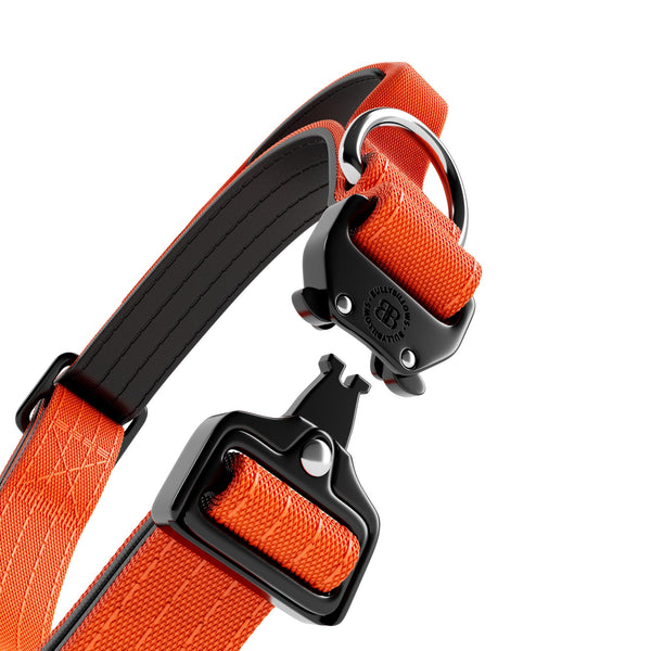 2.5cm Combat® Collar | With Handle & Rated Clip - Orange