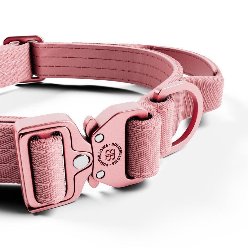 2.5cm Lighter Combat® Collar | Handle & Rated Clip - Pink x Pink