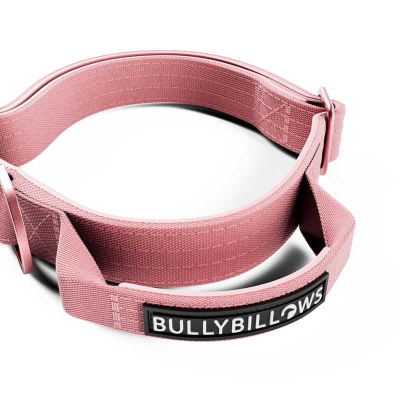 2.5cm Lighter Combat® Collar | Handle & Rated Clip - Pink x Pink