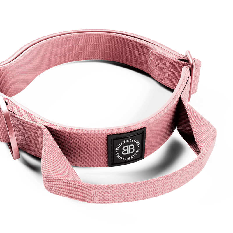 BULLYBILOWS Collar (首輪) 4cm Slip on Collar | Foam Padded - Metal Grey – BullyBillows