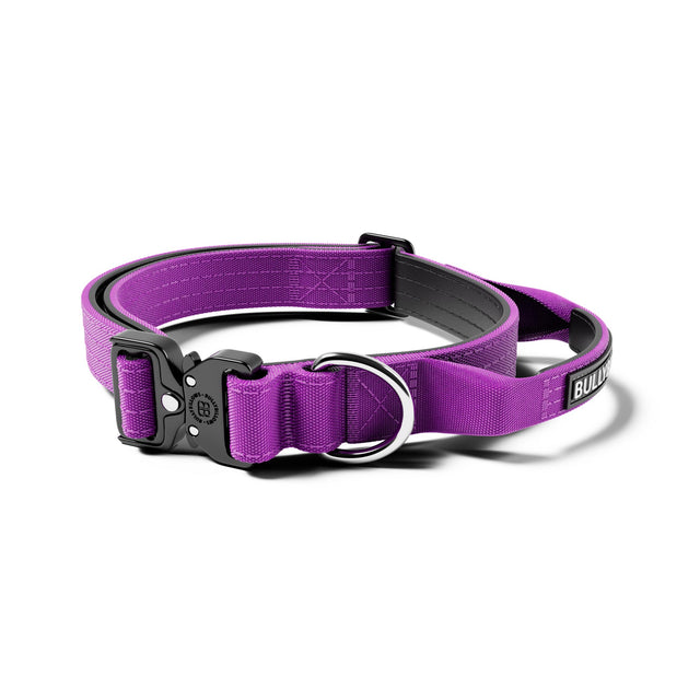 2.5cm Combat® Collar | With Handle & Secure Clip - Purple