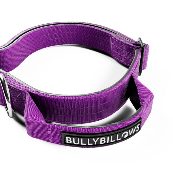 2.5cm Combat® Collar | With Handle & Rated Clip - Purple