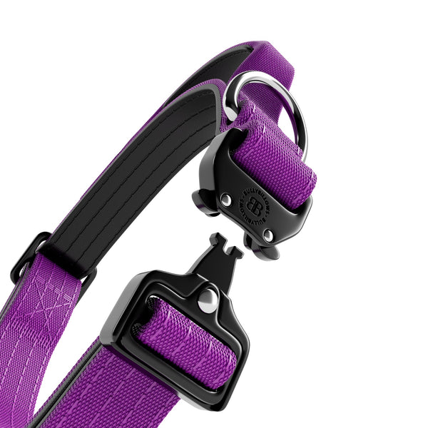 2.5cm Combat® Collar | With Handle & Rated Clip - Purple