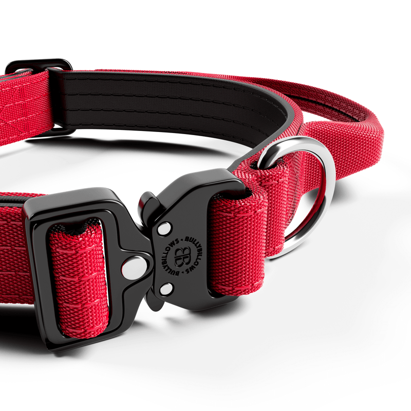 2.5cm Combat® Collar | With Handle & Rated Clip - Red
