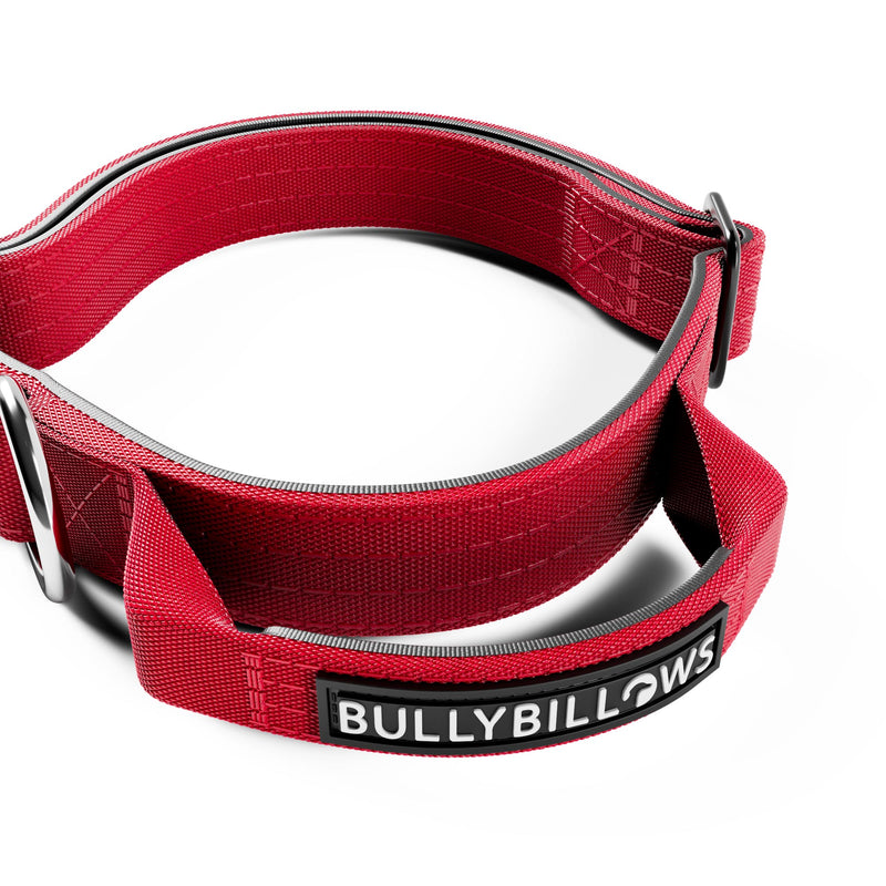 2.5cm Combat® Collar | With Handle & Rated Clip - Red