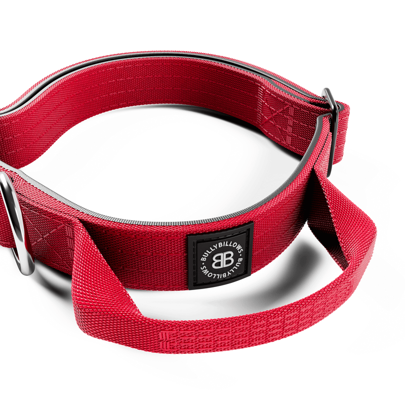 2.5cm Combat® Collar | With Handle & Rated Clip - Red