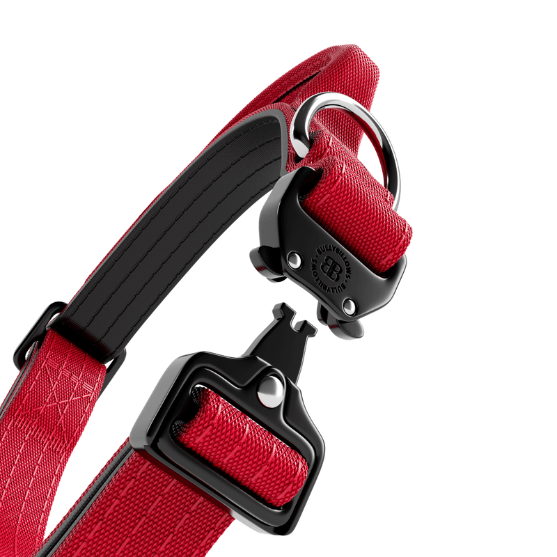 2.5cm Combat® Collar | With Handle & Rated Clip - Red