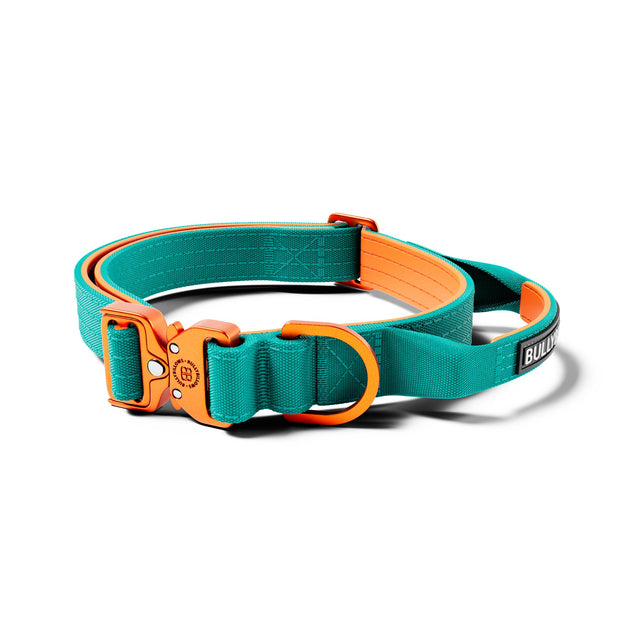 2.5cm Lighter Combat® Collar | With Handle & Secure Clip - Turquoise x Orange