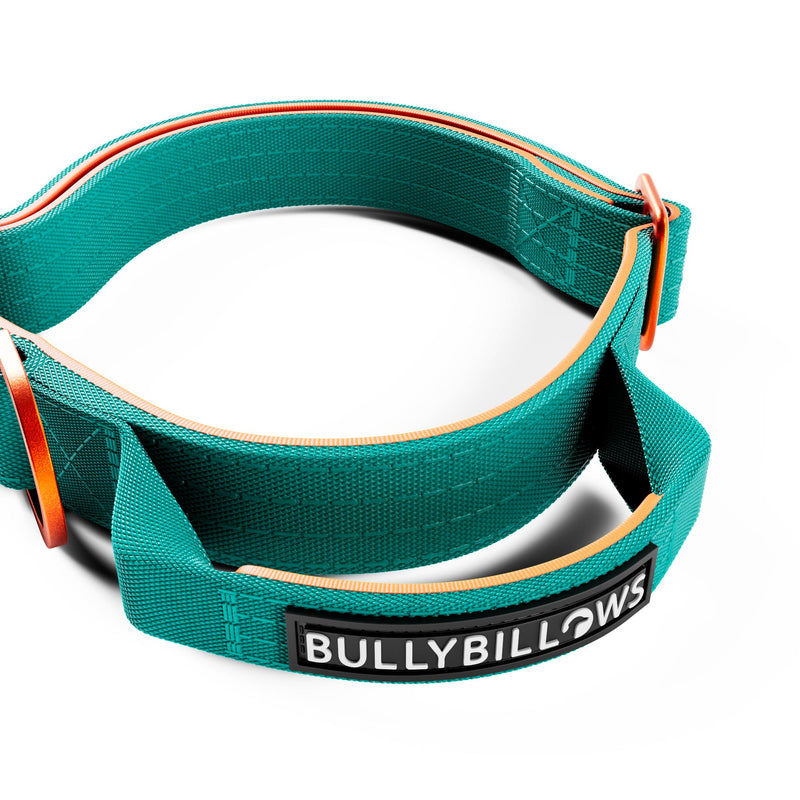 2.5cm Lighter Combat® Collar | Handle & Rated Clip - Turquoise x Orange
