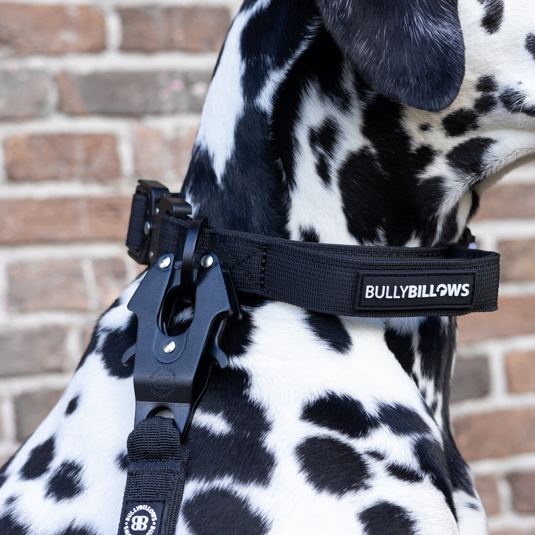 featured image of 2.5cm Lighter Combat® Collar | With Handle & Secure Clip - Black x Black