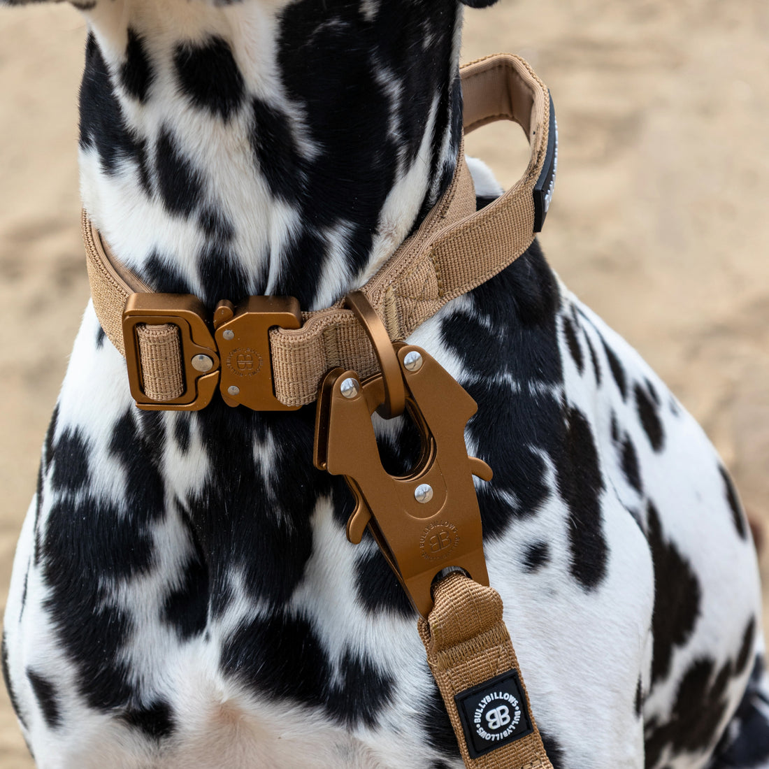 featured image of 2.5cm Lighter Combat® Collar | With Handle & Secure Clip - Tan x Tan