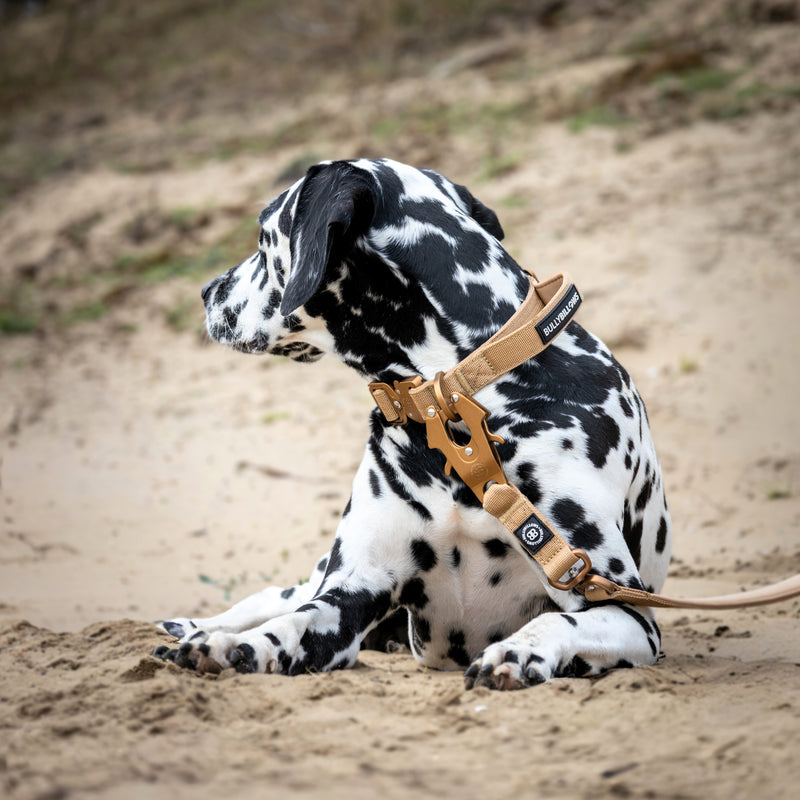 2.5cm Lighter Combat® Collar | With Handle & Secure Clip - Tan x Tan