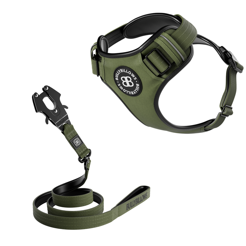 Comfort Premium Harness & Swivel Combat Lead Bundle - Khaki