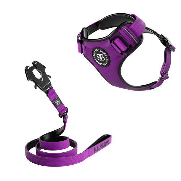 Comfort Premium Harness & Swivel Combat Lead Bundle - Purple