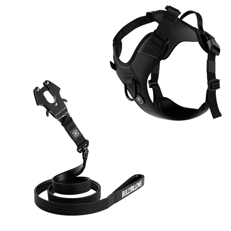 Hurricane Harness Lighter & Swivel Combat Lead Bundle - Black