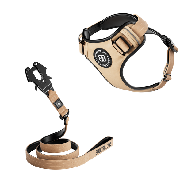 Comfort Premium Harness & Swivel Combat Lead Bundle - Tan