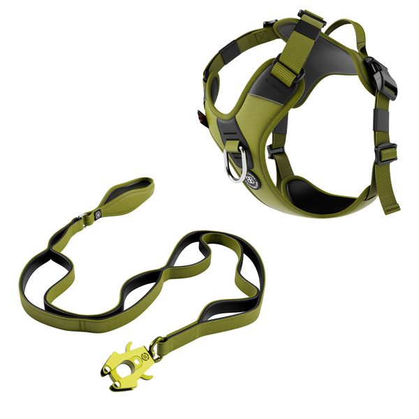 Hurricane Harness Lighter & Ladder Combat Lead Bundle - Olive Green