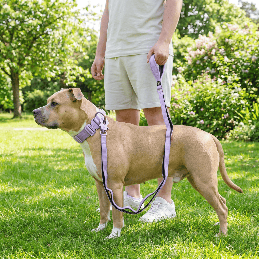 featured image of Ladder Combat® Multiple Handles Lead - Lavender Ube