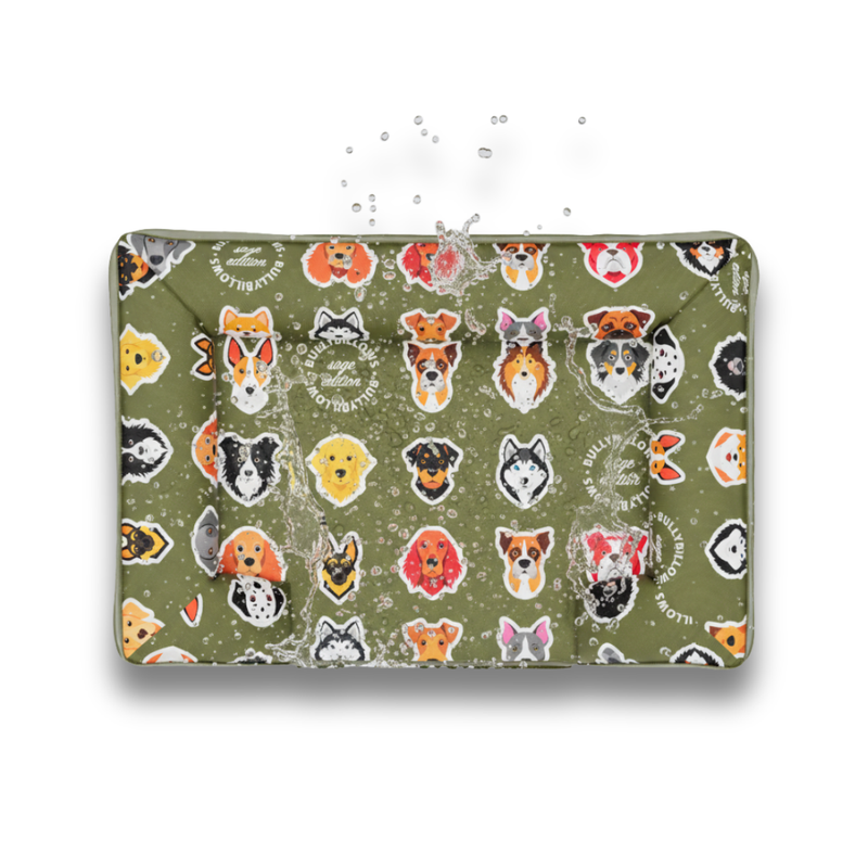 Luxury Dog Bed - Sage Edition | Add your dogs name