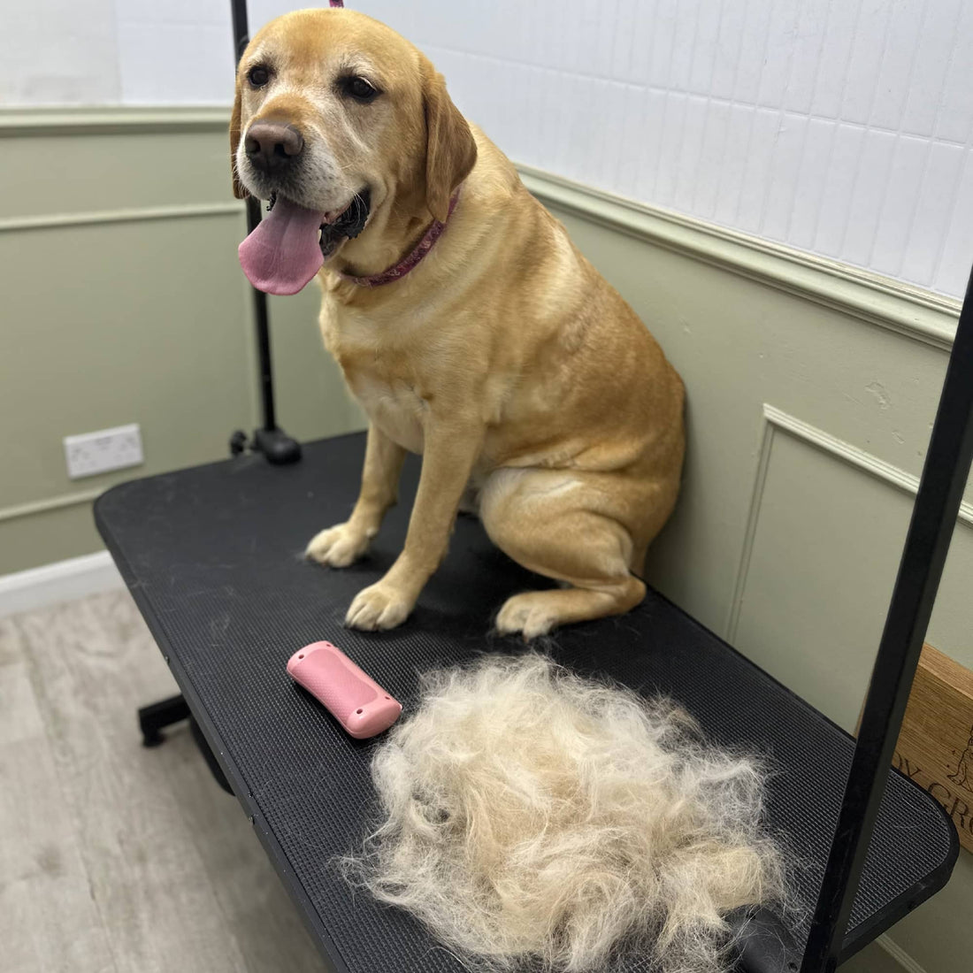 featured image of Dog Deshedding Comb -  Black