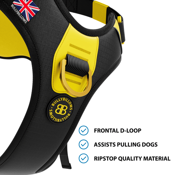 Anti Pull Hurricane Harness Lighter | With Handle - Black X Yellow