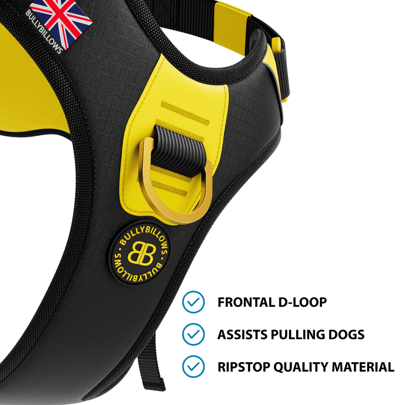 Anti Pull Hurricane Harness Lighter | With Handle - Black X Yellow