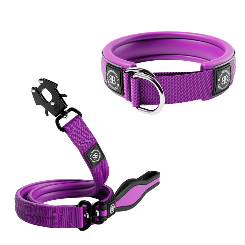 4cm Slip-on Collar & Mini Combat Lead Bundle – Purple