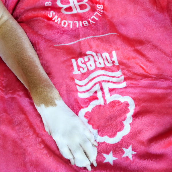 Nottingham Forest Edition | Luxury Dog & Human Blanket