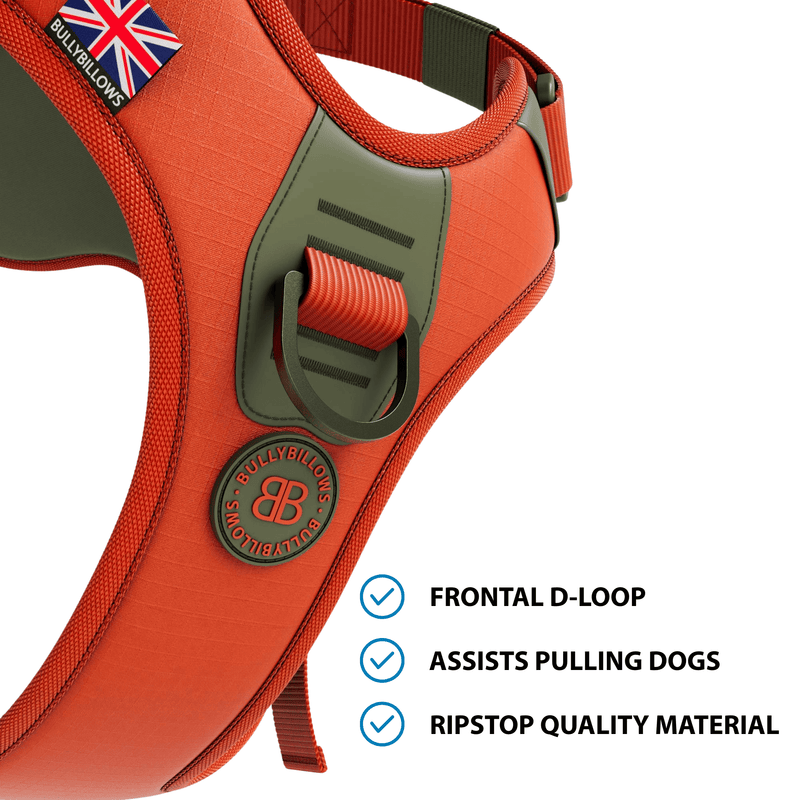 Anti Pull Hurricane Harness Lighter | With Handle - Burnt Orange X Khaki