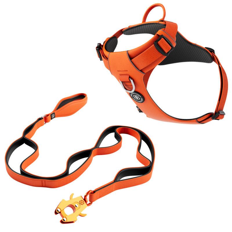 Air Harness & Ladder Combat Lead Bundle – Orange