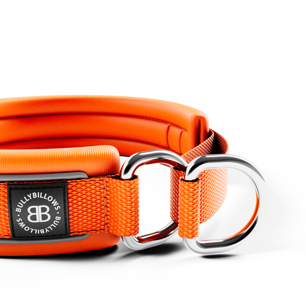 3cm Slip on Collar | Foam Padded - Orange