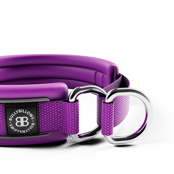 3cm Slip on Collar | Foam Padded - Purple