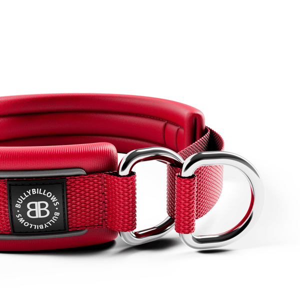 3cm Slip on Collar | Foam Padded - Red