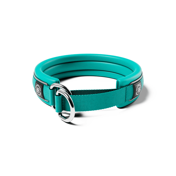 3cm Slip on Collar | Foam Padded - Turquoise – BullyBillows