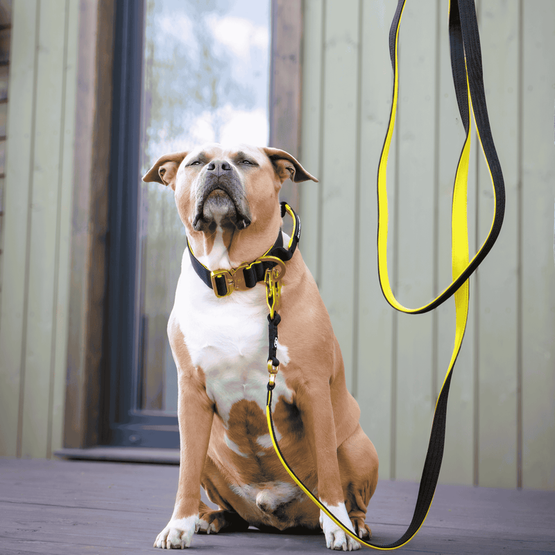 3M Lighter Swivel Combat® Lead | Anti-Tangle & Secure Clip - Black X Yellow