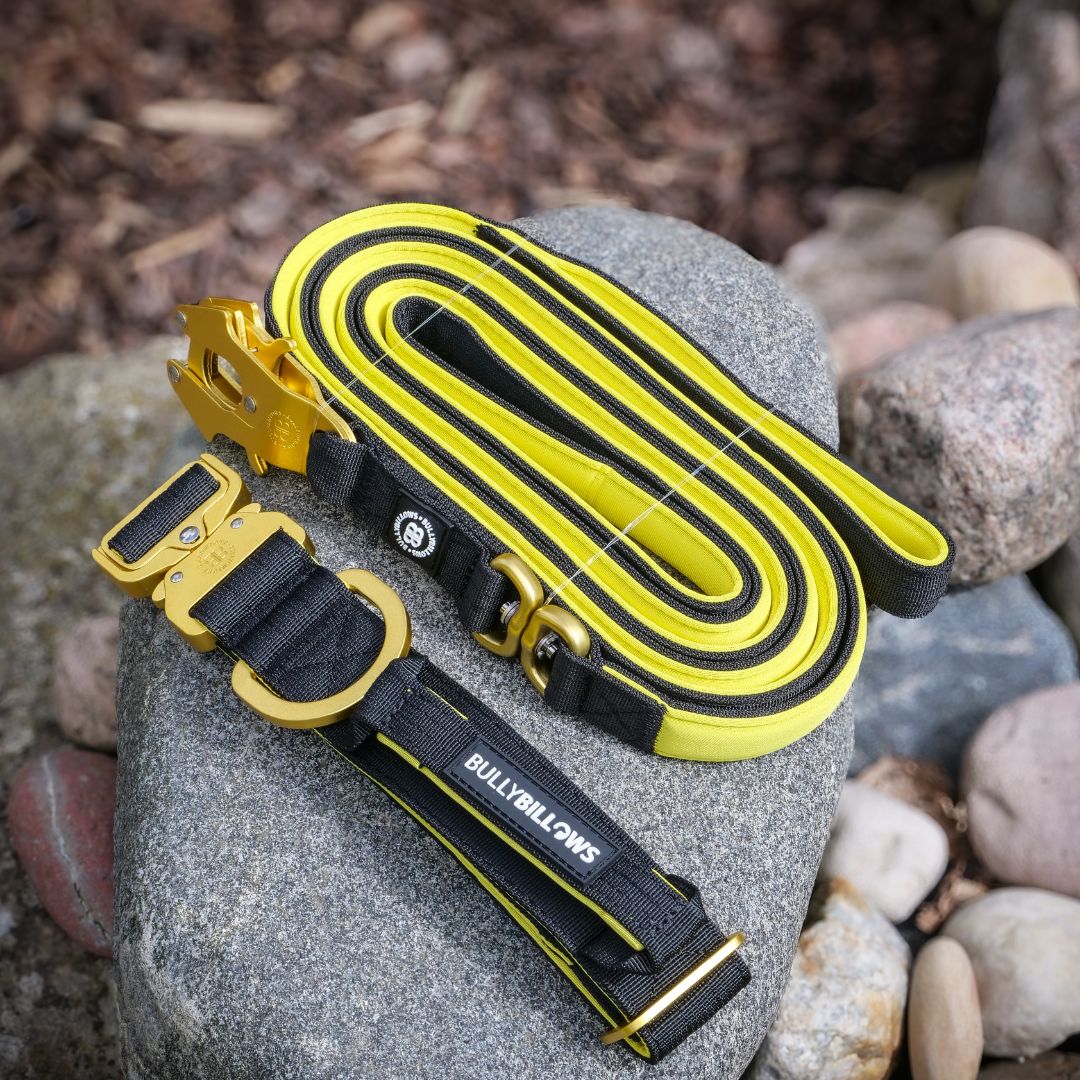 featured image of 3m Swivel Combat® Lead