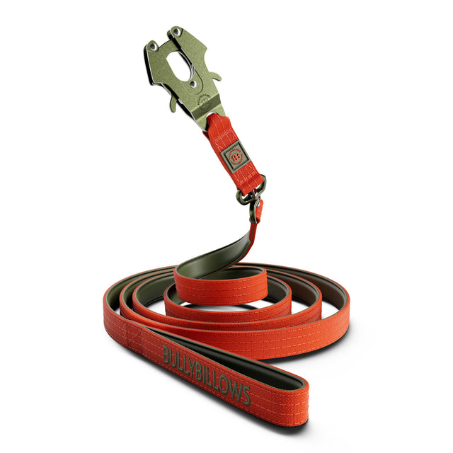3m combat swivel dog lead 