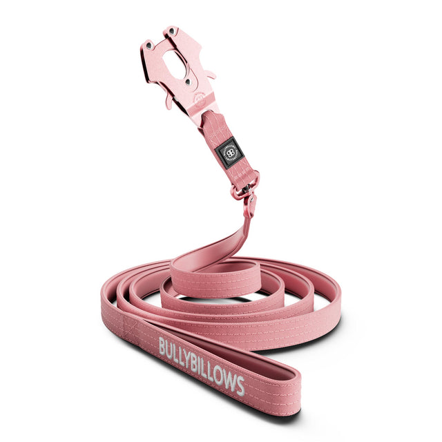 3m combat swivel dog lead 