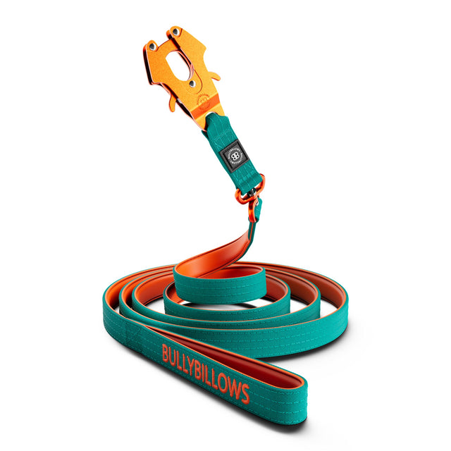 3m combat swivel dog lead 