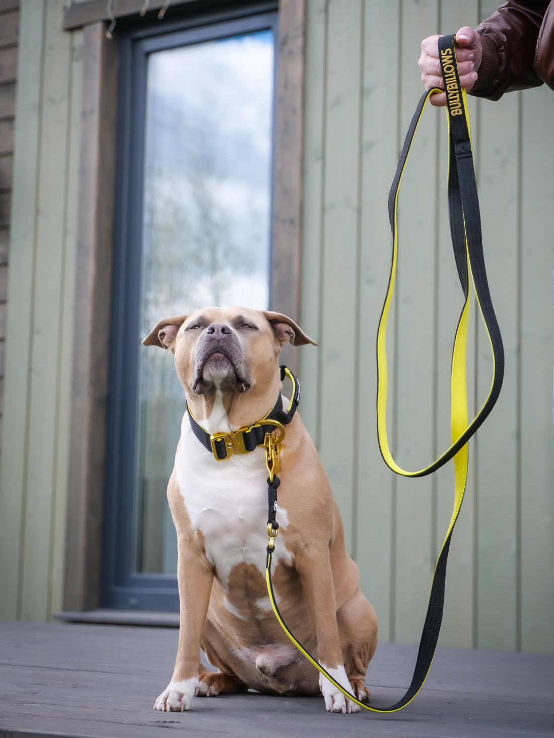 featured image of 3M Lighter Swivel Combat Lead | Anti-Tangle & Secure Clip - Black X Yellow