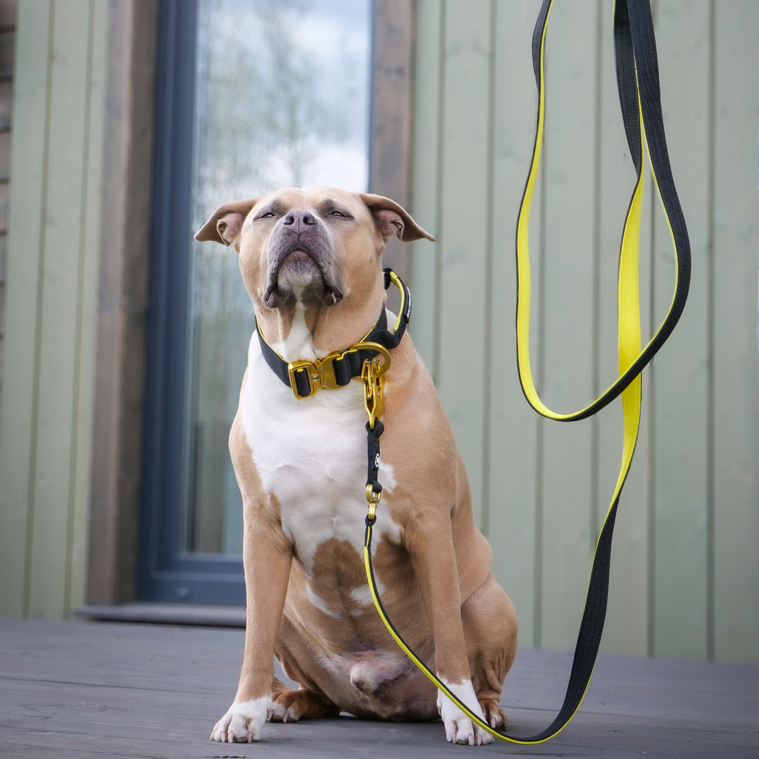 featured image of 3M Lighter Swivel Combat® Lead | Anti-Tangle & Secure Clip - Black X Yellow